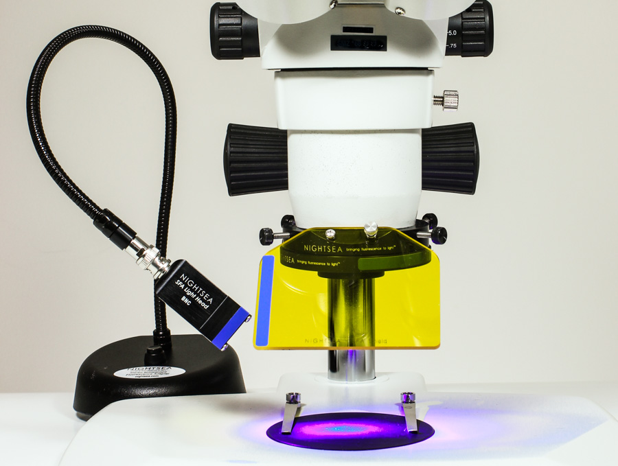 SFA-RB体视显微镜荧光适配器