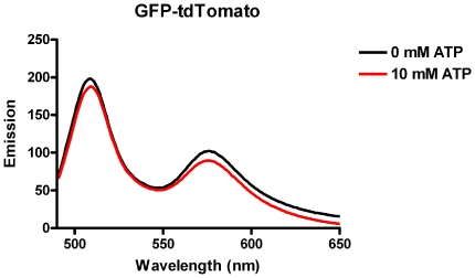 tdtomato荧光蛋白的激发光谱图