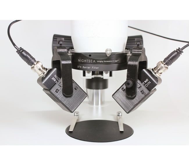 荧光适配器让您的体视显微镜秒变荧光显微镜