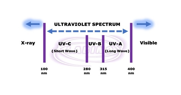 UV-Spectrum2 (1).png