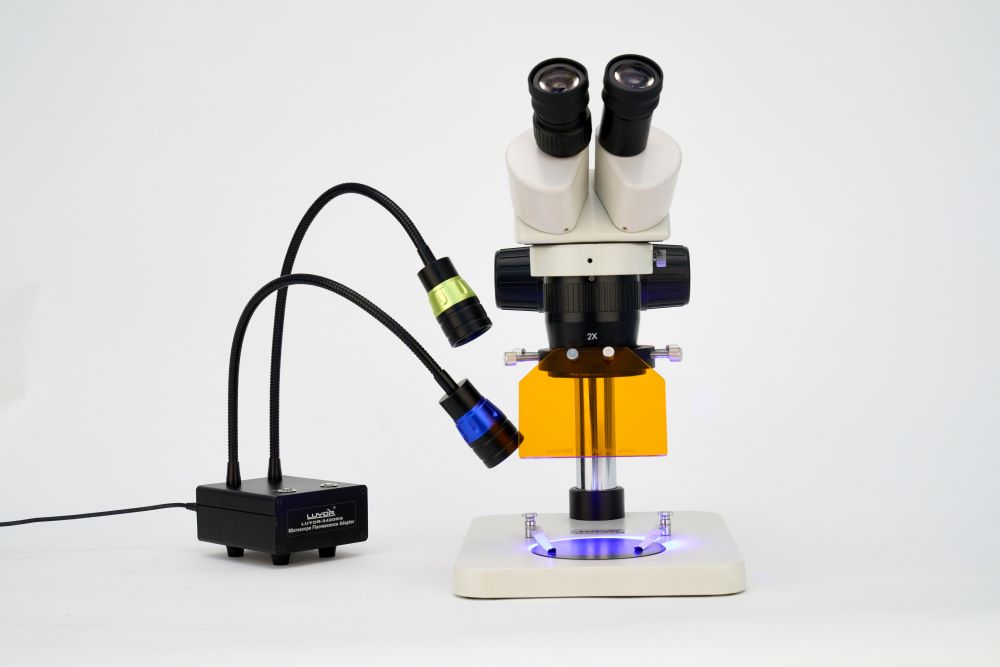 体视显微镜用荧光激发光源