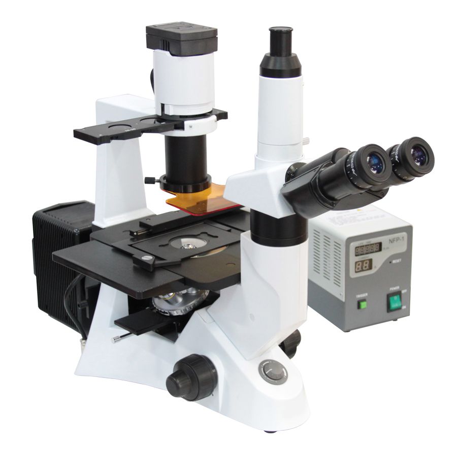 荧光显微镜的原理和操作步骤
