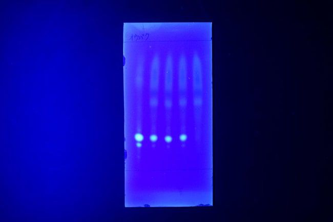 薄层色谱TLC实验中紫外线灯怎么操作？