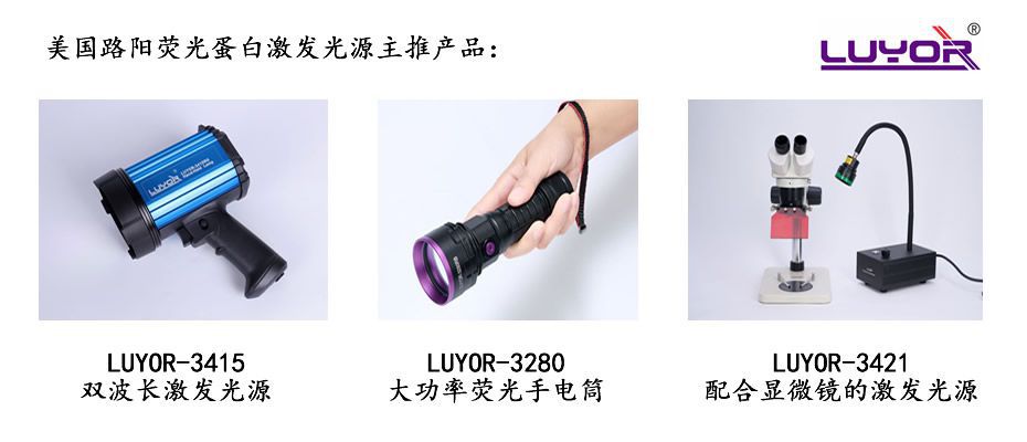 GFP激发光源