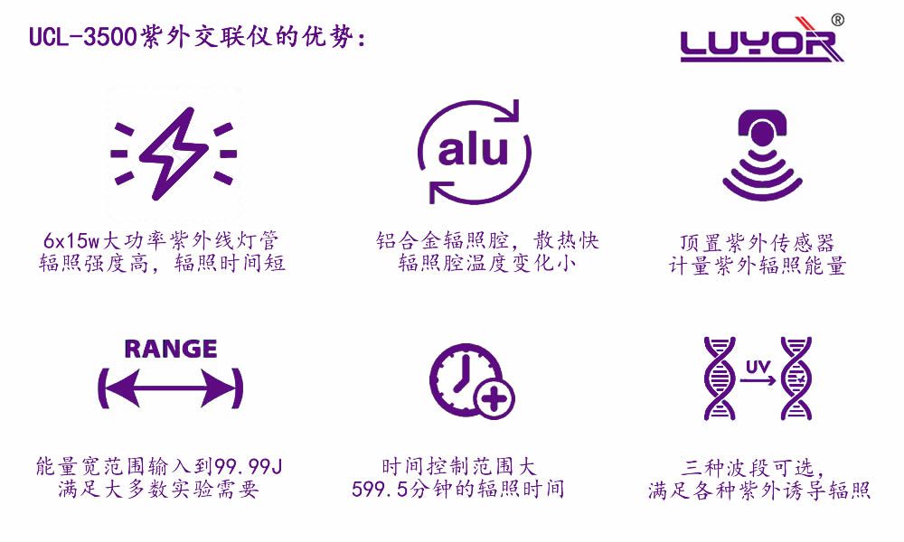 优势.jpg