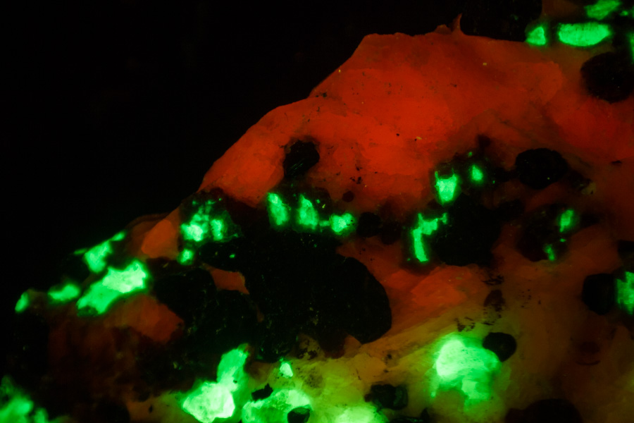 nightsea SFA体视显微镜的遮光罩