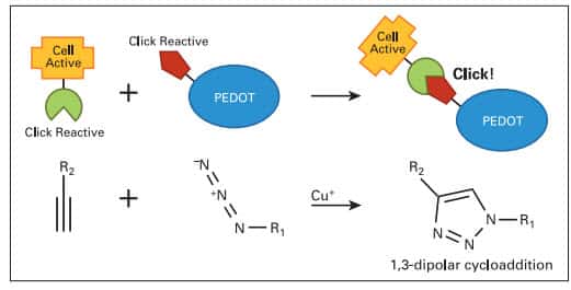 点击化学用的紫外交联仪